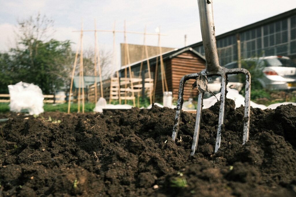 A fork in freshly dug soil